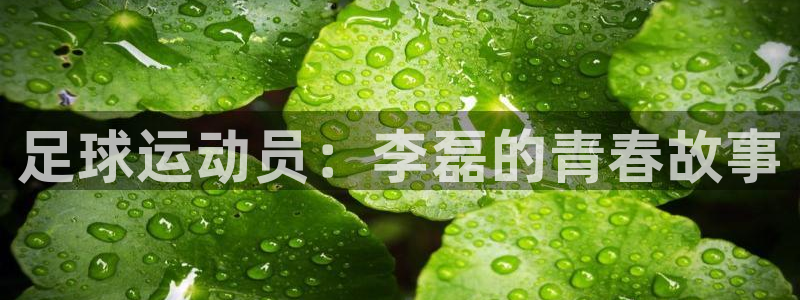 三亿体育：足球运动员：李磊的青春故事