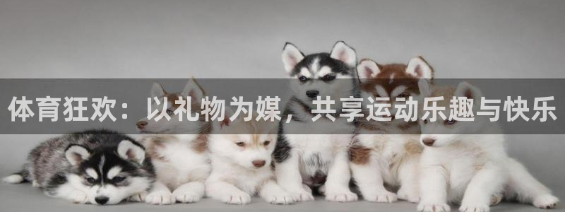 三亿体育网页版：体育狂欢：以礼物为媒，共享运动乐趣与快乐