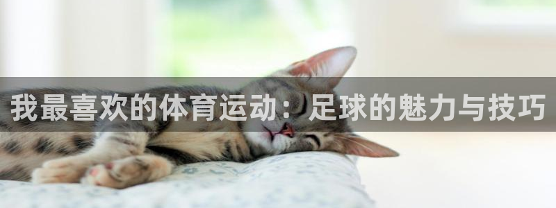 三亿体育登录：我最喜欢的体育运动：足球的魅力与技巧