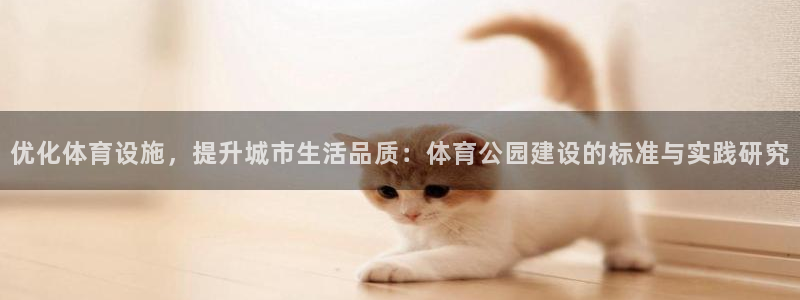 三亿体育网：优化体育设施，提升城市生活品质：体育公园建设的标准与实践研究