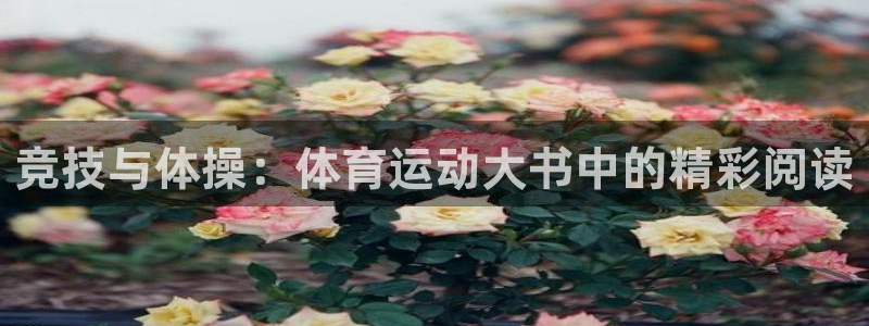 三亿体育：竞技与体操：体育运动大书中的精彩阅读