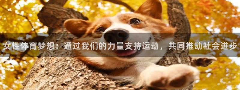 三亿体育网页版：女性体育梦想：通过我们的力量支持运动，共同推动社会进步
