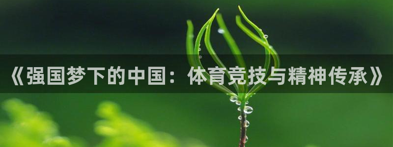 三亿体育登录：《强国梦下的中国：体育竞技与精神传承》