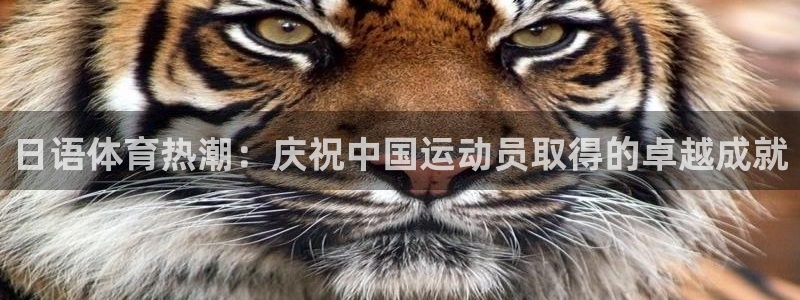 三亿体育：日语体育热潮：庆祝中国运动员取得的卓越成就