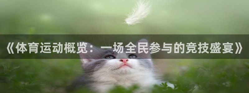 三亿体育网：《体育运动概览：一场全民参与的竞技盛宴》