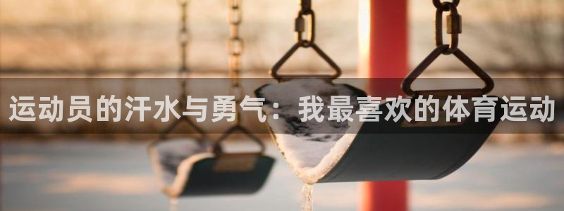 三亿体育网：运动员的汗水与勇气：我最喜欢的体育运动