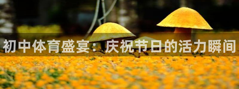 三亿体育网：初中体育盛宴：庆祝节日的活力瞬间
