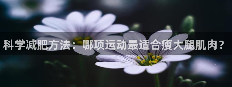 三亿体育网：科学减肥方法：哪项运动最适合瘦大腿肌肉？