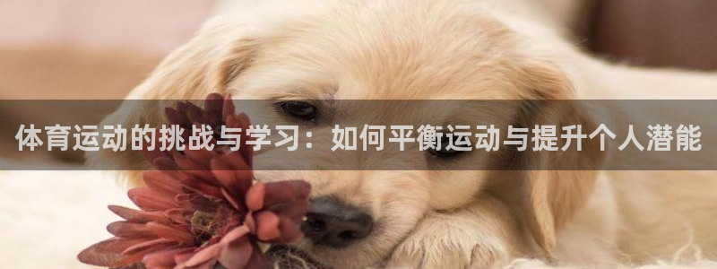 三亿体育登录