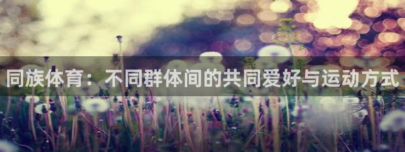 三亿体育登录